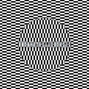 Image of Front Cover of LP - VG+/VG+ - CARTER TUTTI VOID, Transverse (Mute; STUMM340, UK 2012, Missing the CD), , A Chris & Cosey (Throbbing Gristle) & Nik Colk Void (Factory Floor) collaboration.  - 3826041E