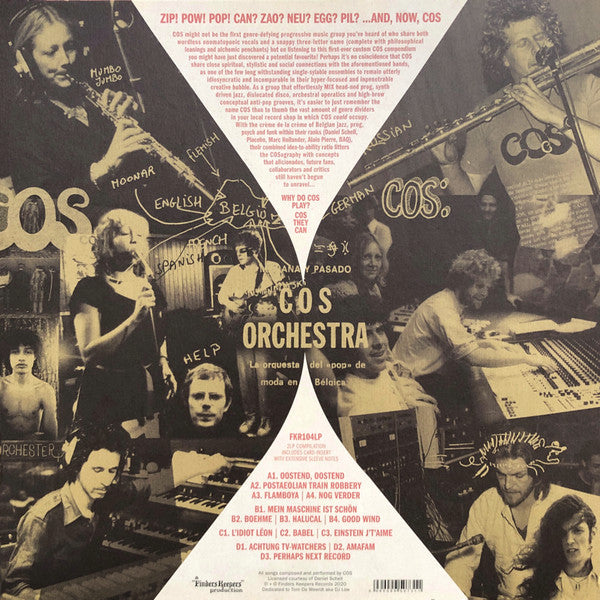 Image of Back Cover of 4144266S: 2xLP - COS, Cosmix (Finders Keepers Records ; FKR104LP, UK & Europe 2021, Picture Sleeve, Insert)   VG+/VG+