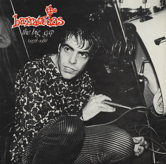 Image of Front Cover of LP - VG+/EX - THE BARRACUDAS, The Big Gap (1978-1981) (Coyote Records; COR 022, France 1984), ,  - 3626109E