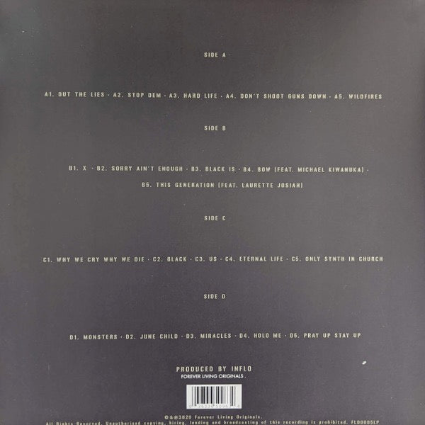 Image of Back Cover of 2xLP - VG+/VG - SAULT, Untitled (Black Is) (Forever Living Originals ; FL00005LP, UK 2020, Gatefold), ,  - 3226119E