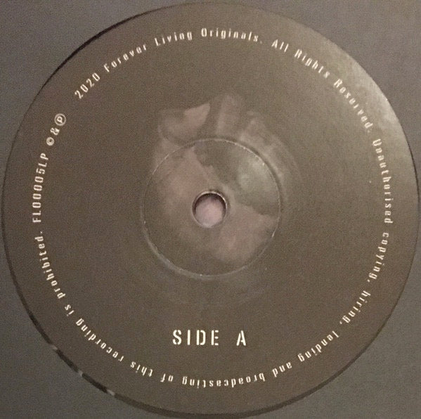 Image of Label Cover of 2xLP - VG+/VG - SAULT, Untitled (Black Is) (Forever Living Originals ; FL00005LP, UK 2020, Gatefold), ,  - 3226119E