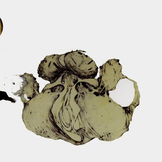 Image of Front Cover of 4xLP - VG+/EX - COIL, The Ape Of Naples / The New Backwards (Important Records; imprec174, US 2008 Reissue, Box Set, 4 Inners & Insert, Three Discs Single Sided, Etched, One Disc Two Sided), ,  - 0926304E