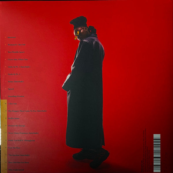 Image of Back Cover of 2xLP - EX/EX - LITTLE SIMZ, Sometimes I Might Be Introvert (Age101; AGE101002LP, UK 2021, Gatefold, Milky Clear Vinyl), ,  - 4026066E