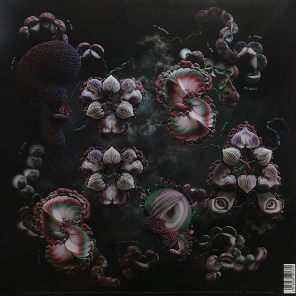 Image of Back Cover of 0353164S: 2xLP - BJORK, Fossora (One Little Independent Records; TPLP 1485, Worldwide 2022, Gatefold, 2 Inners and 1 Booklet)   NEW/NEW