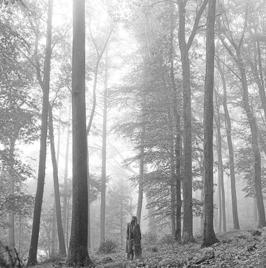 Image of Front Cover of 2xLP - VG+/VG+ - TAYLOR SWIFT, Folklore (Republic Records ; 00602435034881, Europe 2020, Gatefold, 2 Inners, Deluxe Edition, Brown "In The Trees" Vinyl), ,  - 2746171S