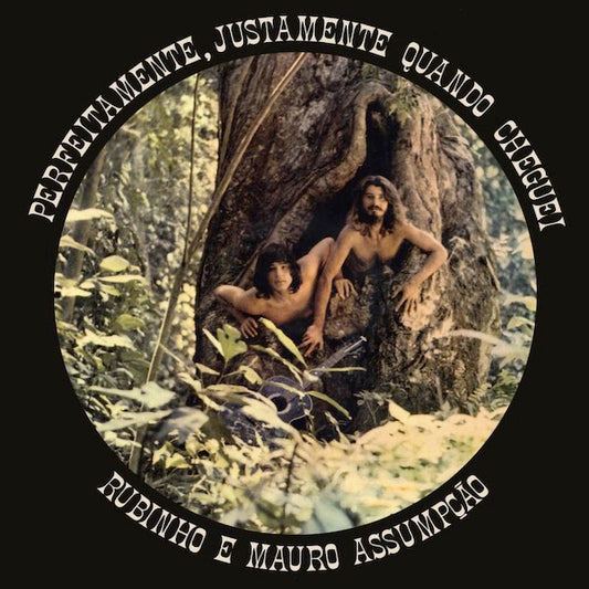 Image of Front Cover of 0234248E: LP - RUBINHO E MAURO ASSUMP  O, Perfeitamente, Justamente Quando Cheguei (Mr Bongo; MRBLP276, Brazil 2023 Reissue)   NEW/NEW