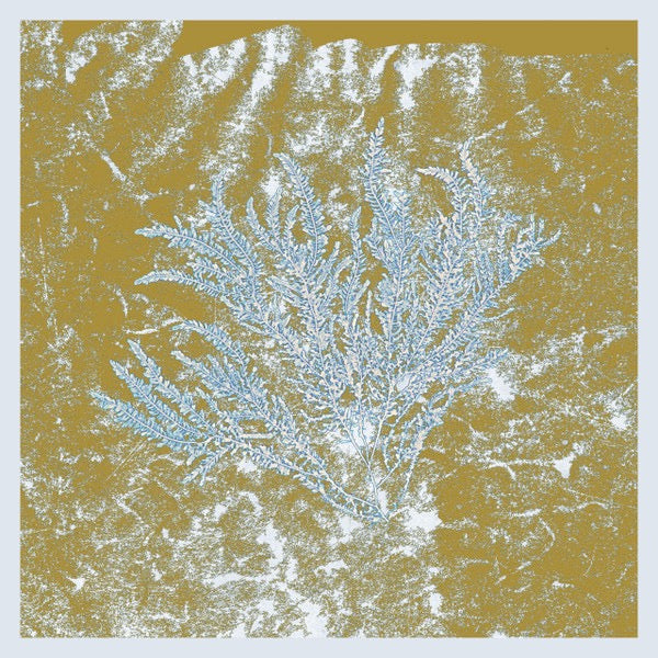 Image of Front Cover of 2xLP - VG/G+ - HUERCO S., For Those Of You Who Have Never (And Also Those Who Have) (Proibito; PRB018, US 2016, Textured Sleeve, Insert), Lots of marks and hairlines. Plays better than it looks. Some light creasing to sleeve.,  - 2716038C
