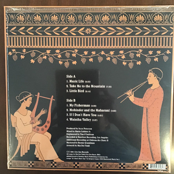 Image of Back Cover of 1213050C: LP - MIA DOI TODD, Music Life (City Zen Records; CTZ010, US 2021)   NEW/NEW