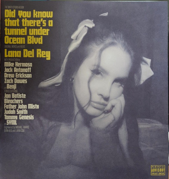 Image of Front Cover of 2xLP - NEW/NEW - LANA DEL REY, Did You Know That There's A Tunnel Under Ocean Blvd (Polydor; 4859191, Worldwide 2023, Gatefold, 2 Inners), ,  - 1416045C