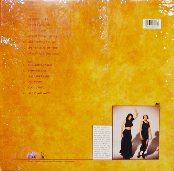 Image of Back Cover of 3914642C: LP - CHANGING FACES, Changing Faces (Big Beat; 92369-1, US 1994, Picture Sleeve, Insert) Strong G+ to disc - light marks only. Sleeve is still in shrink but has some light creasing anf edge wear.  VG/G+