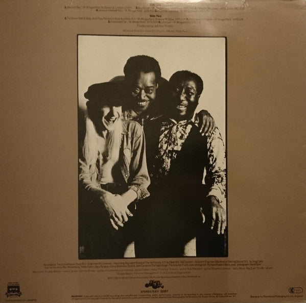 Image of Back Cover of LP - VG/G+ - MUDDY WATERS, Hard Again (Blue Sky; SKY 81853, UK 1980s Reissue, Inner), Superficial storage marks.,  - 1516280C