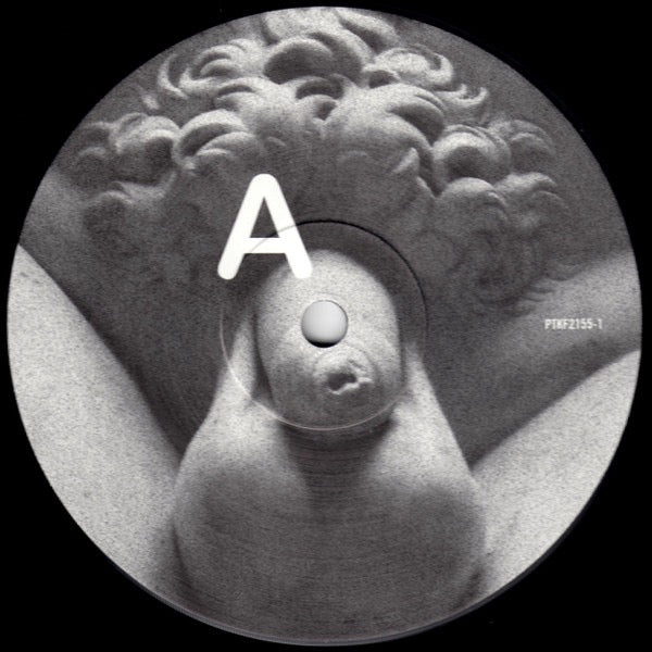 Image of Label Cover of LP - VG+/VG+ - IDLES, Brutalism (Partisan Records; PTKF2155-1, UK 2018 Reissue, Gatefold, Inner, GZ Media Pressing), ,  - 4226073E