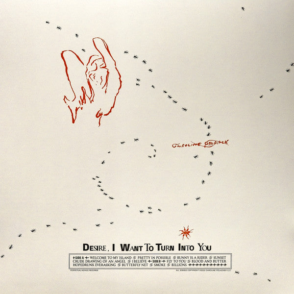 Image of Back Cover of LP - NEW/NEW - CAROLINE POLACHEK, Desire, I Want To Turn Into You (Perpetual Novice; PNR05, Europe 2023, Inner, Poster, Metallic Copper Vinyl), ,  - 2956277S