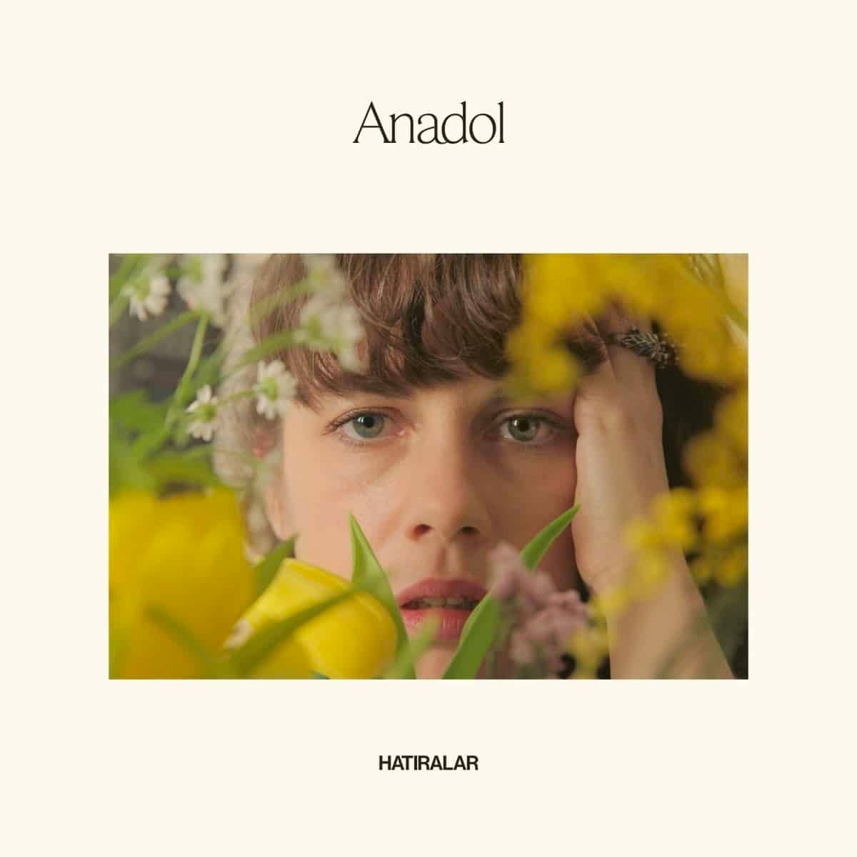 Image of Front Cover of 3533102E: LP - ANADOL, Hatiralar (Pingipung; pingipung080, Germany 2023, Remastered)   NEW/NEW