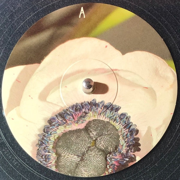 Image of Label of 2254144S: LP - KLARA LEWIS, NIK COLK VOID, Full-On (Alter; ALT74, Austria 2023, Clear Vinyl)   NEW/NEW