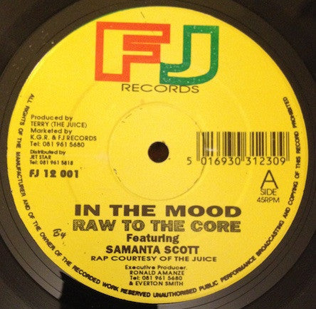 Image of Front Cover of 12" - /G+ - RAW TO THE CORE FEATURING SAMANTA SCOTT, In The Mood (FJ Records; FJ 12 001, UK 1994), superficial marks only, plays VG.,  - 3846313S