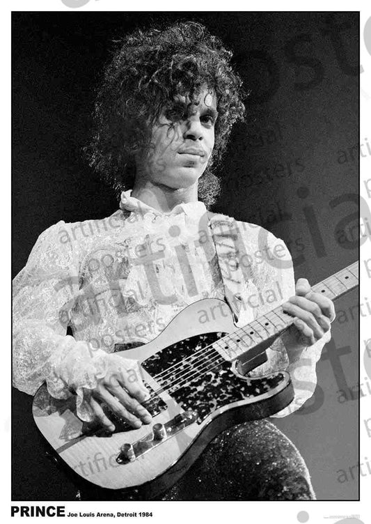 Image of Front Cover of 3315519C: Accessories - PRINCE, Poster Detroit (84.1cm x 59.4cm; ART209,  )   NEW/NEW