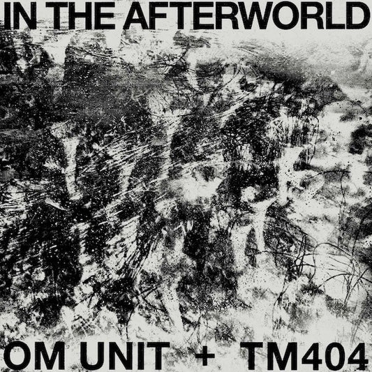 Image of Front Cover of 4633034E: LP - OM UNIT + TM404, In The Afterworld (Acid Test; ATLP17, Europe 2023, Picture Sleeve)   NEW/NEW