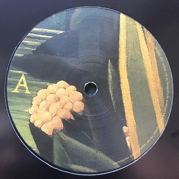 Image of Label Cover of 3824199E: LP - DIJF SANDERS, Moonlit Planetarium (Smoking Crab Records; SMCR006, Belgium 2016) Strong VG  EX/VG