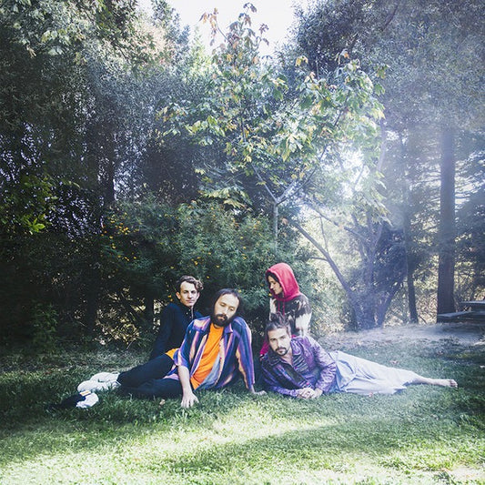 Image of Front Cover of LP - VG+/VG+ - BIG THIEF, U.F.O.F. (4AD ; 4AD0129LP, Europe 2019, Gatefold), ,  - 3846008S
