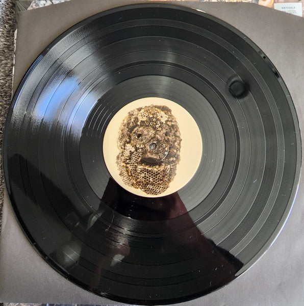 Image of Label Cover of 0326372E: LP - METAL PREYERS, Shadow Swamps (Nyege Nyege Tapes; NNT038LP, UK & Europe 2022, Picture Sleeve)   VG+/VG+