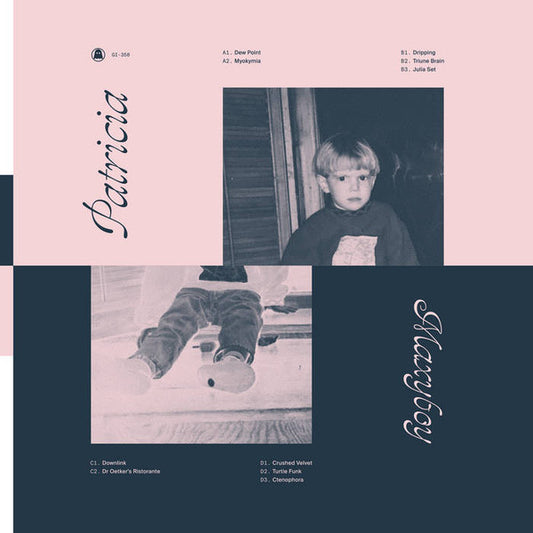 Image of Front Cover of 2xLP - VG+/VG+ - PATRICIA, Maxyboy (Ghostly International; GI-358, US 2020, Picture Sleeve), ,  - 0726370E