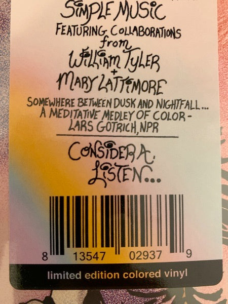 Image of Back Cover of LP - VG+/VG+ - NORTH AMERICANS, Roped In (Third Man Records; TMR-695, US 2020, Insert, Colored Vinyl), In shrinkwrap with hype sticker, featuring William Tyler and Mary Lattimore - 1926384E