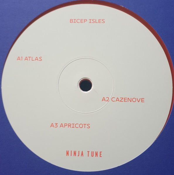 Image of Label Cover of 3xLP - VG+/VG+ - BICEP, Isles (Ninja Tune; ZEN261DX, Europe 2021, Gatefold, 3 Inners, Orange Vinyl), , Deluxe edition, 3 B Side tracks. - 2446230S