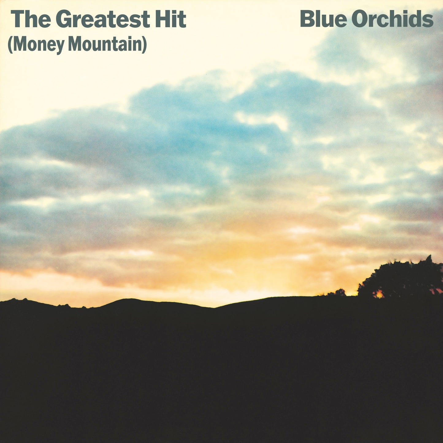 Image of Front Cover of 0214166C: 2xLP - BLUE ORCHIDS, The Greatest Hit (Money Mountain) (Tiny Global Productions; PICI-0055-2LP, UK 2024, Gatefold, Insert)   NEW/NEW