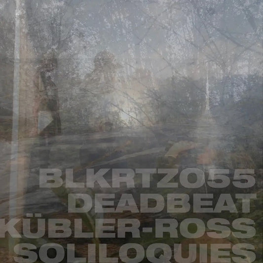 Image of Front Cover of 0214378C: 2xLP - DEADBEAT, K bler-Ross Soliloquies (Diggers Factory; BLKRTZ055, Germany 2024)   NEW/NEW