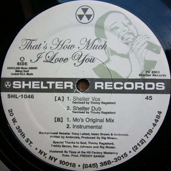Image of Front Cover of LP - /VG - BIG MOSES, That's How Much I Love You (Shelter Records; SHL-1046, US 2003), light marks only,  - 2746166S