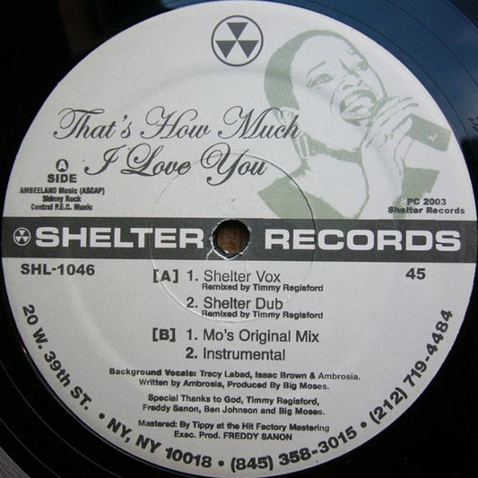 Image of Front Cover of LP - /VG - BIG MOSES, That's How Much I Love You (Shelter Records; SHL-1046, US 2003), light marks only,  - 2746166S