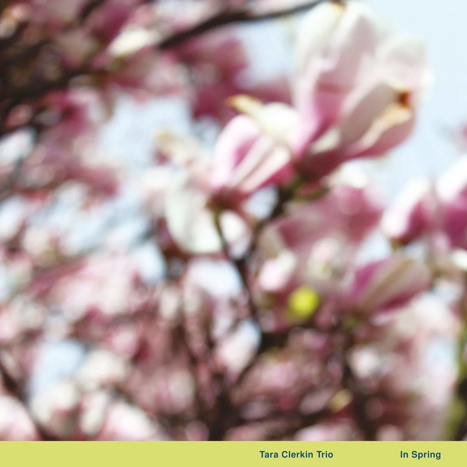 Image of Front Cover of 0314115C: 12" EP - TARA CLERKIN TRIO, In Spring (World of Echo; WOE004LP, US 2024, Inner)   NEW/NEW