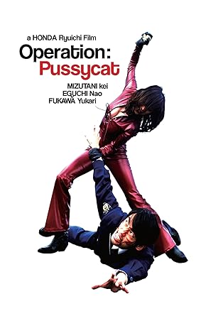 Image of Front Cover of 0534038E: DVD - RYUICHI HONDA, Operation Pussycat (MVD Visual; , US , Region 1 US)   VG/VG+