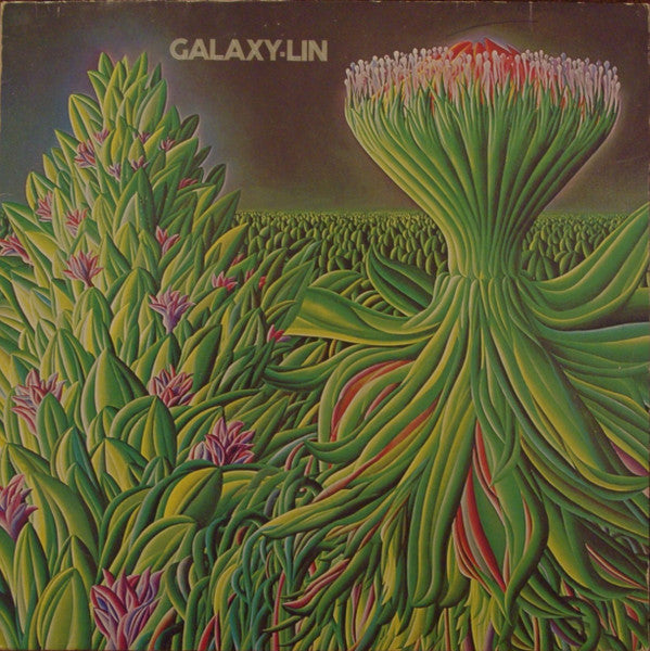 Image of Front Cover of 0624132E: LP - GALAXY-LIN, Galaxy-Lin (Polydor; 2925 025, Netherlands 1974)   G+/VG+