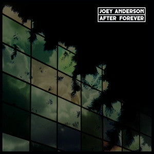 Image of Front Cover of 2xLP - VG+/EX - JOEY ANDERSON, After Forever (Dekmantel; DKMNTL017, Netherlands 2014), Discs look barely played. Sleeve has minor , Dekmantel release the debut full-length album from New Jersey producer, DJ and Inimeg Records boss Joey Anderson. The album is the natural next step for a producer who has turned out plenty of deep and intriguing techno EPs for labels like Latency, Deconstruct Music and Syncrophone over the last couple of years.Having been championed by the connoisseur