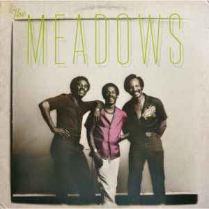 Image of Front Cover of 0944208S: LP - THE MEADOWS, The Meadows (Radio Records; RR 19305, US 1981, Promo, Stickered Picture Sleeve) Vinyl in great condition. Wear to sleeve with ringwear and evidence of previous price sticker. Promo stamp & sticker.  VG/VG+