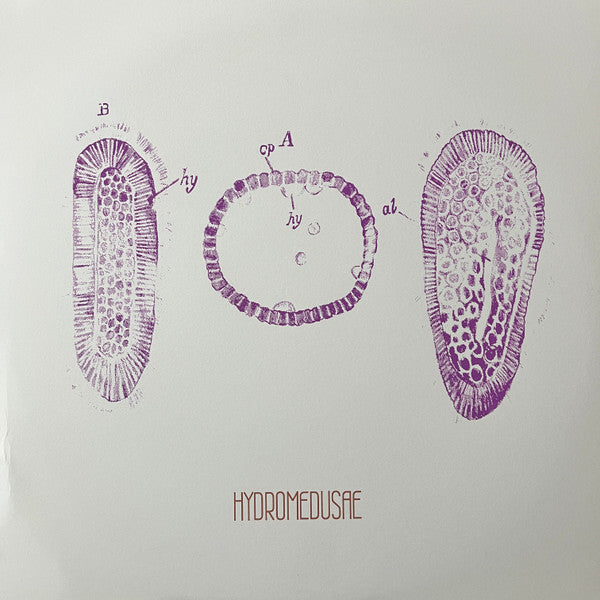 Image of Front Cover of LP - VG+/EX - HYDROMEDUSAE, Hydromedusae (Trome Records; trome012, UK 2023, Screen Printed Sleeve, Limited Edition of 200), ,  - 1326449E
