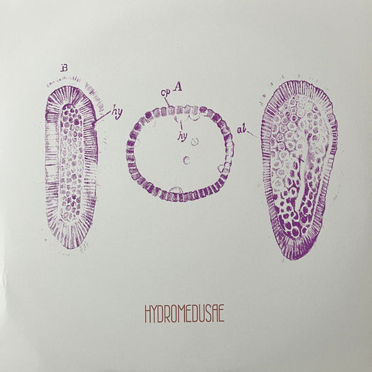 Image of Front Cover of LP - VG+/EX - HYDROMEDUSAE, Hydromedusae (Trome Records; trome012, UK 2023, Screen Printed Sleeve, Limited Edition of 200), ,  - 1326449E