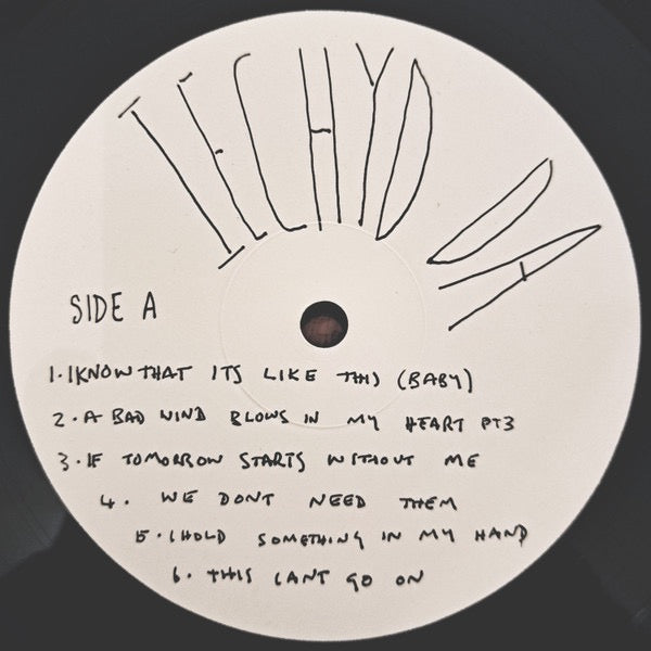 Image of Label Cover of LP - NEW/NEW - BILL RYDER-JONES, Iechyd Da (Domino; WIGLP485, UK 2024, Gatefold, Download), ,  - 2416325C