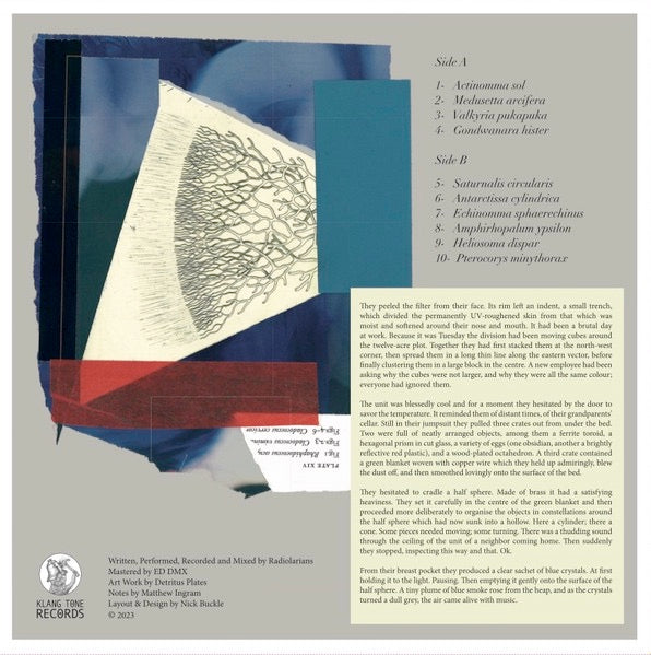 Image of Back Cover of 4824142E: LP - RADIOLARIANS, Radiolarians (Klang Tone; KTLP001, UK 2023)   VG+/EX