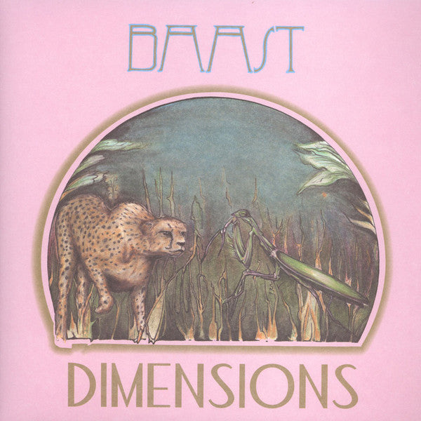 Image of Front Cover of 1524415E: LP - BAAST, Dimensions (Ubiquity Recordings, Inc.; UR/II001, US 2015, Picture Sleeve) Opened Instore, Still In Shrinkwrap  EX/EX