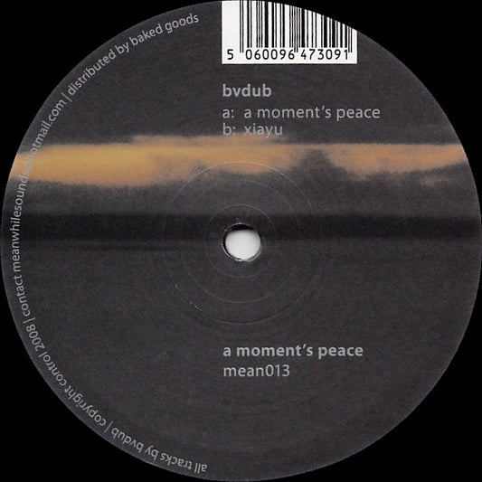 Image of Front Cover of 1614358C: 12" - BVDUB, A Moment's Peace (Meanwhile; mean013, UK 2008, Company Sleeve)   VG+/VG