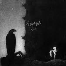 Image of Front Cover of 1624459E: LP - F�GELLE, Den Svenska Vreden (Medication Time; MT-31, France 2023, Inner, Clear w/Black Marble vinyl)   VG+/VG+