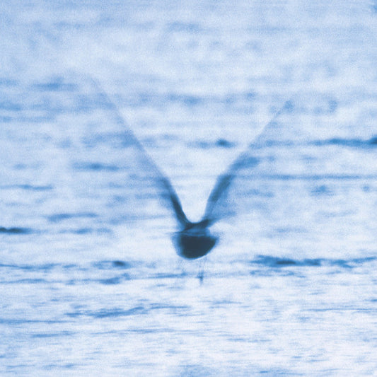 Image of Front Cover of LP - NEW/NEW - RYO FUKUI, Mellow Dream (We Release Jazz; WRJ002REG, Switzerland 2018 Reissue), ,  - 2136162E