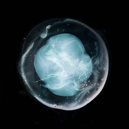 Image of Front Cover of LP - EX/EX - A WINGED VICTORY FOR THE SULLEN, The Undivided Five (Ninja Tune; ZEN255, UK 2019, Gatefold, Black Inner, 180 Gram Vinyl), ,  - 4326415E