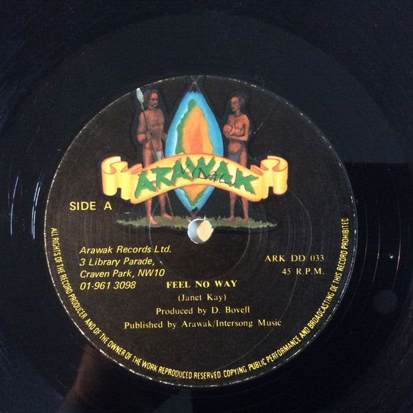 Image of Front Cover of 12" - /G+ - JANET KAY, Feel No Way / Away (Arawak ; ARK DD 033, UK 1980, Reggae Disco 45 Sleeve), Lots of marks. Plays well. Disco 45 sleeve.,  - 1626115E
