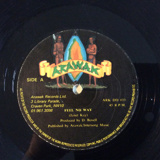 Image of Front Cover of 12" - /G+ - JANET KAY, Feel No Way / Away (Arawak ; ARK DD 033, UK 1980, Reggae Disco 45 Sleeve), Lots of marks. Plays well. Disco 45 sleeve.,  - 1626115E