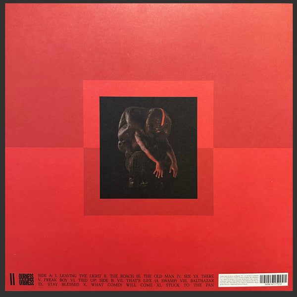 Image of Back Cover of 2244010S: LP - GENESIS OWUSU, Struggler (Ourness; OURLP2003, Australia 2023, Inner & Insert, Marble Vinyl)   VG+/VG+