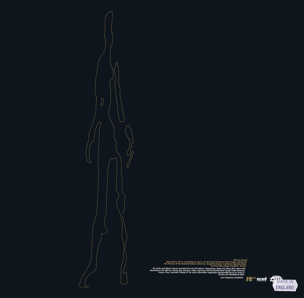 Image of Back Cover of 12" - VG/VG - LFO, What Is House EP (Warp; WAP17LTD, UK 1991, Picture Sleeve, Inner, Clear Vinyl, Numbered), 0680. Light cosmetic wear to sleeve.,  - 3616019C